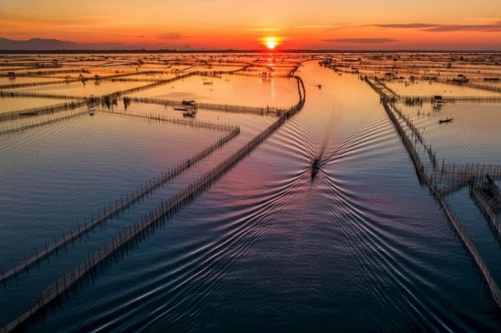 Thời điểm đẹp nhất để tham quan phá Tam Giang là lúc bình minh hoặc hoàng hôn, khi mặt nước phản chiếu ánh sáng tuyệt đẹp